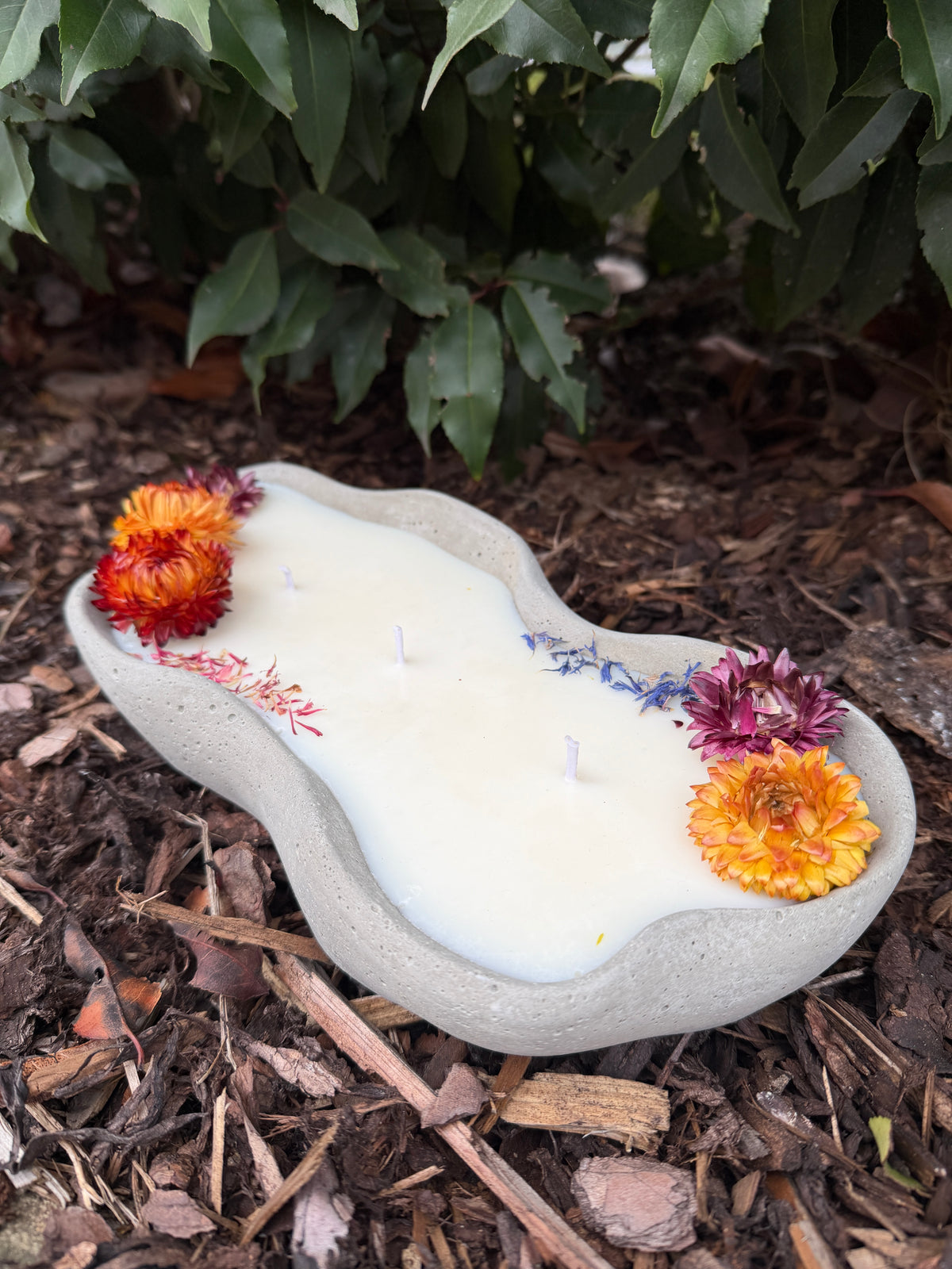 Design-Betonkerze "Grey Wave" in organischer Wellenform, 29,5cm lang. Hellgraue Betonschale gefüllt mit veganem Sojawachs und drei Baumwolldochten. Dekoriert als "Flower Edition" mit bunten Strohblumen in Orange und Rot sowie blauen Blütenblättern. Handgegossen im Schwarzwald.