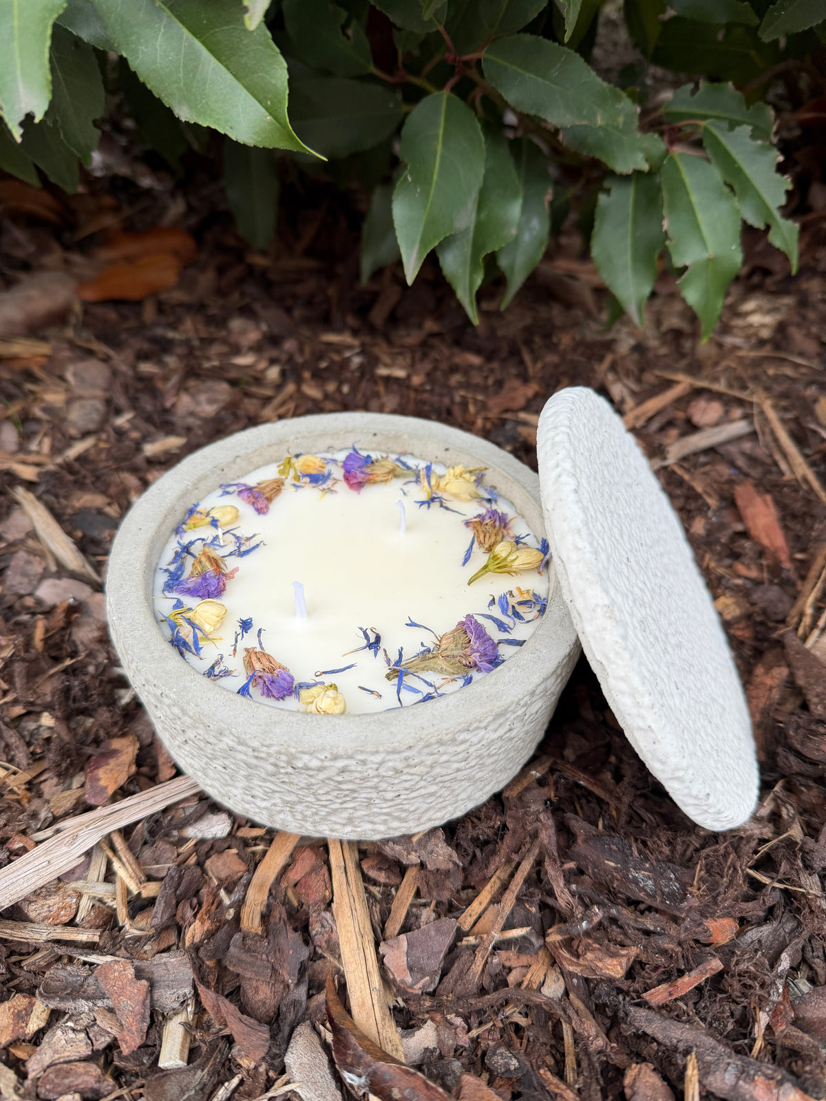 Betonkerze mit Deckel "Grey Dream" (12,5cm). Hellgraue Betondose mit 2 Dochten. Handbesetzt mit blauen Kornblumen und lila Blüten auf veganem Sojawachs. Handgegossen im Südschwarzwald.

6. Die Welle